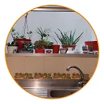 Gioeni 87 Central&quiet Appartamento *